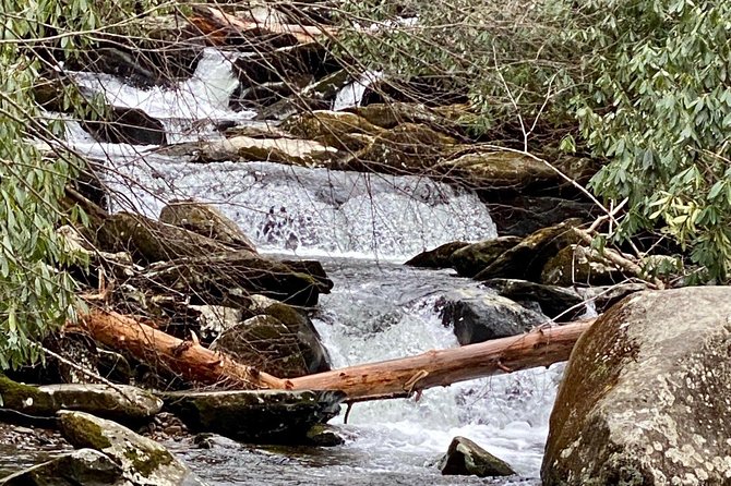 Thundering Streams and Falls of the Smokies Guided Hiking Tour - Inclusions and Requirements