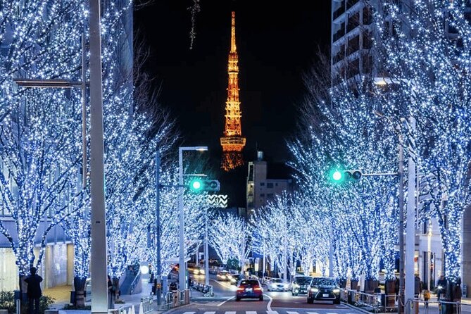 Tokyo 10 Hour Customizable Private Tour - Pickup Information