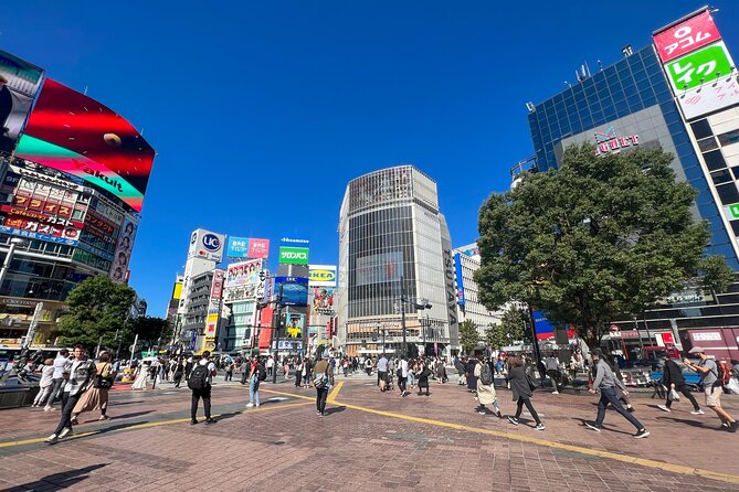 Tokyo Best West Part Tour by Public Transportation - Physical Fitness Level
