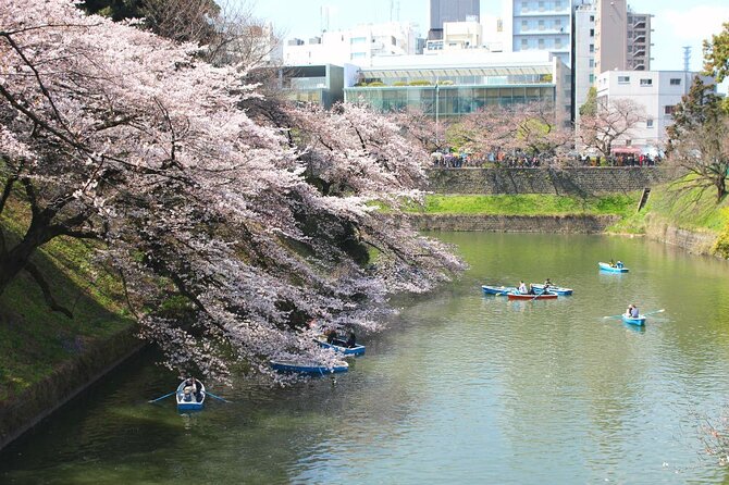 Tokyo Castle & Imperial Palace , Historical Walking Tour - Tour Itinerary