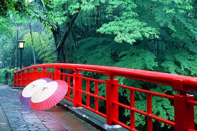 Tokyo Cherry Blossom, Hot Spring, and Strawberry Picking Tour - Inclusions