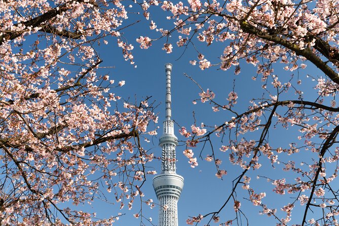 Tokyo Discovery:Exclusive Private Car Tour for an Epic Adventure! - Pickup and Meeting Details