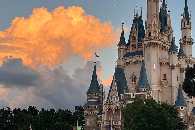 Tokyo Disneyland Admission Tickets - Accessibility