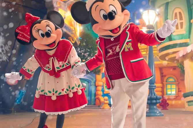 Tokyo Disneyland Entry Ticket With Tokyo Subway Ticket - Accessibility and Requirements