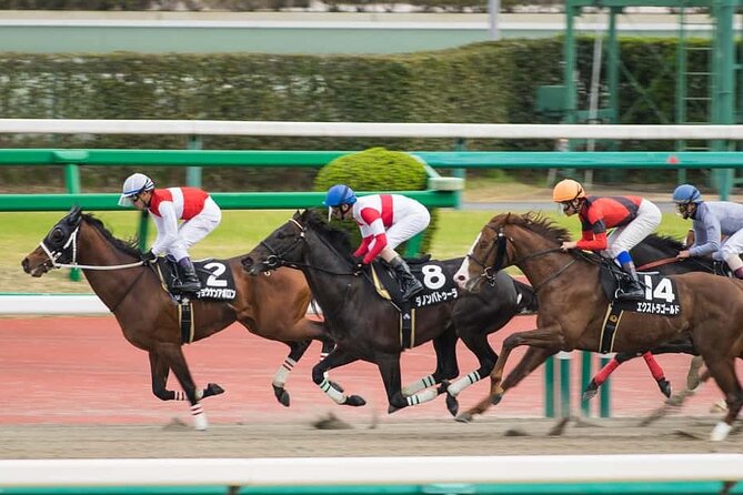 Tokyo Horse Racing and Gambling Tour - Inclusions