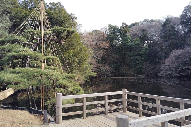 Tokyo: Meiji Jingu Shrine & Inner Garden Private Tour (2h) - Inclusions
