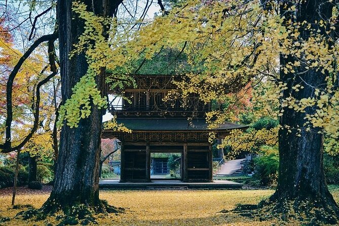 Tokyo Mountain History and Culture Eco Tour - Meeting and Pickup
