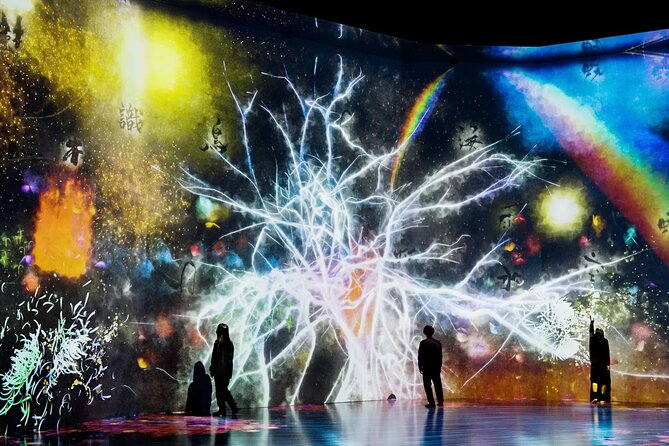 Tokyo: Teamlab Borderless Museum Admission Ticket - Meeting and Pickup