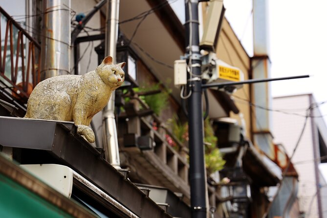 Tokyo Walking Tour of Historic Shopping Streets Yanaka - Getting to the Meeting Point