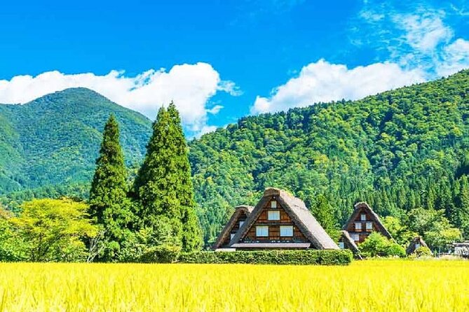 Tour to Hida Takayama and Shirakawa-Go Gassho Village From Nagoya - Inclusions and Costs