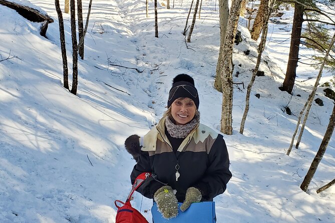 Transformative Forest Immersion: A Mindful Journey for Inner Calm - Benefits of Mindfulness in Nature
