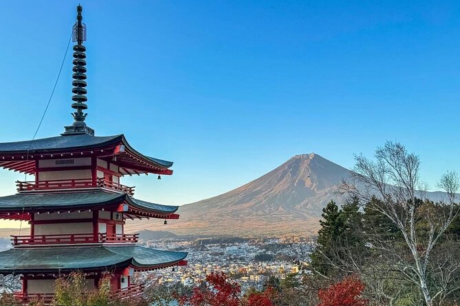 Trip to Mt Fuji and Lake Kawaguchiko With English Speaking Driver - Accessibility Information
