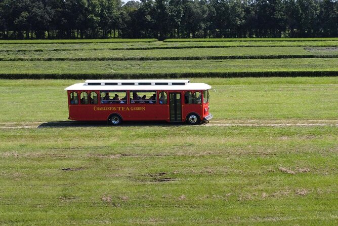 Trolley Tour in Wadmalaw Island of South Carolina - Learning About Tea Production From Field to Cup