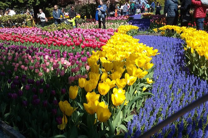 Tulip Festival and Skagit Valley Tour - Included Amenities