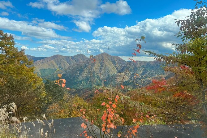 Two Days Nikko Cycling Tour Guided by a Local Monk - Highlights