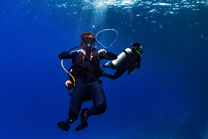 Two Tank Morning Reef Dive and Snorkel - Inclusions