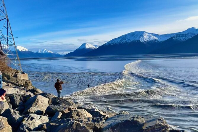 Ultimate Anchorage Summer Wildlife Tour - Pricing and Booking Information