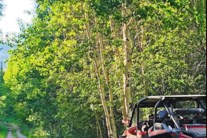 UTV Tour of Sawtell Peak - UTV Suitability and Safety Guidelines