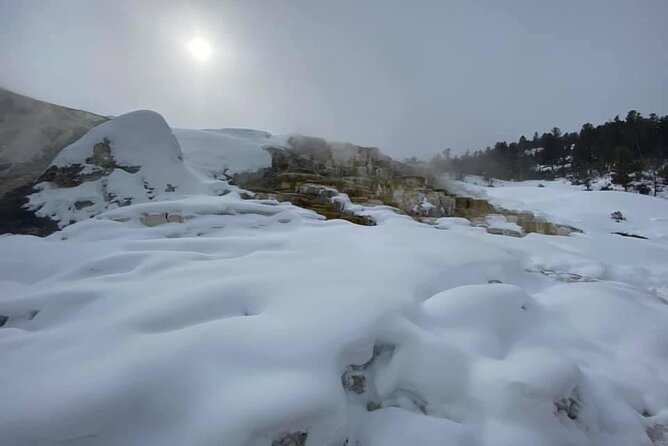 VIP Private North Yellowstone National Park Winter Excursion - Experience Highlights