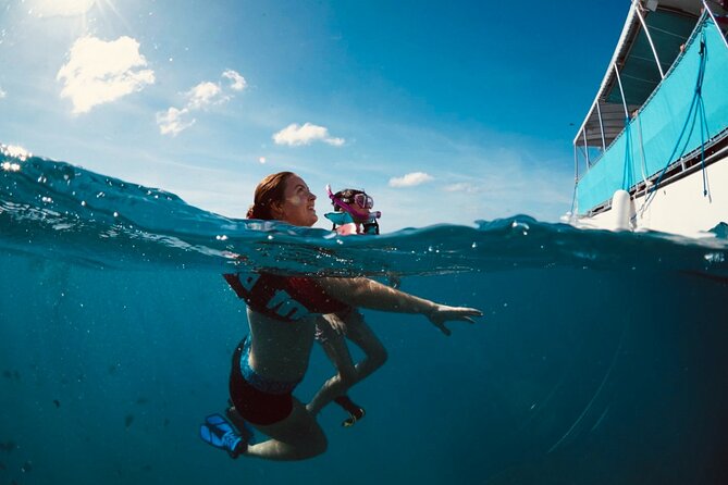 Waikiki Snorkel Tour - Meeting and Pickup Information