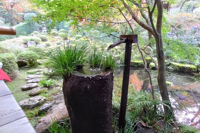 Walking Tour in Ohara Discover the Tranquil Beauty of Kyoto - Discovering Tranquil Streams and Waterfalls