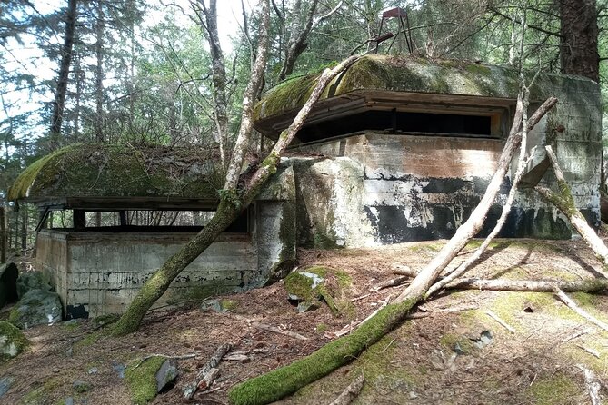 War Bunkers and Wildlife Kayak Tour in Sitka, Alaska - Kayaking Experience and Duration