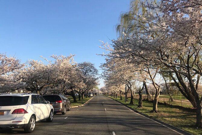 Washington D.C. Cherry Blossom Day Tour From Dc&Va - Whats Included in the Tour