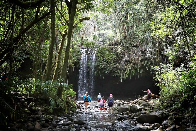 Waterfall & Rainforest Hiking Adventure With Hotel Pickup - Transportation and Pickup Details