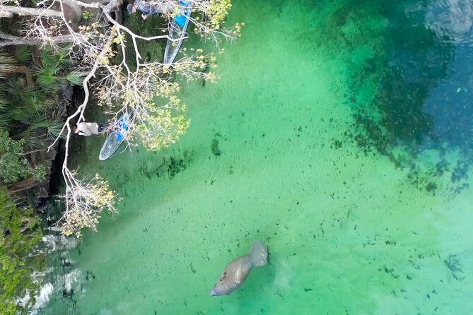 Weeki Wachee Clear Paddle Board Ecotours - Pricing and Booking Information