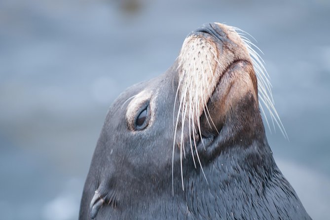 Whale Watching Monterey Bay Semi-Private Limited to 6 People Max - Meeting Location and Accessibility