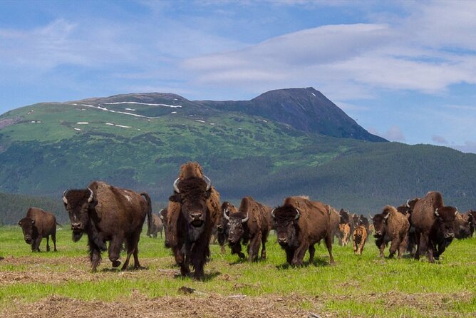 Wildlife Center With Lunch & Local Beer Sampling - Winter&Summer - Meeting and Pickup
