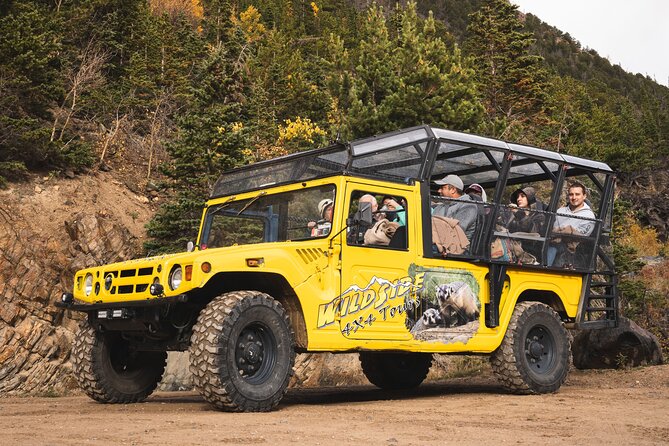 Wildside 4X4s Winter Wonderland Sledding Tour - Highlights of the Experience