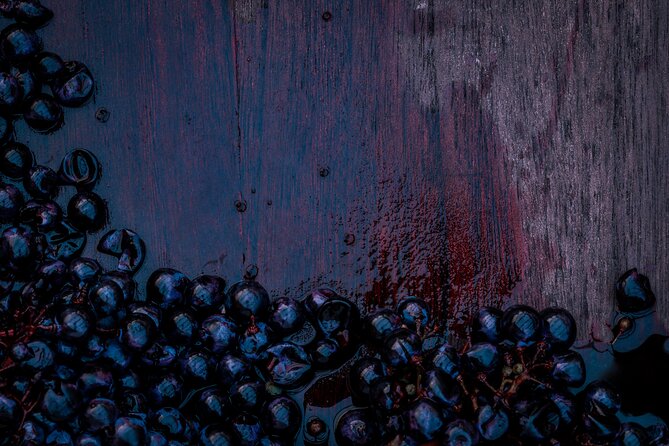 Willamette Wine Tour From Newberg (Tasting Fees Included) - Meeting and Pickup