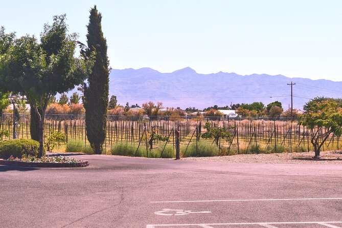 Wine Tasting Tour From Las Vegas With Snacks - Inclusions