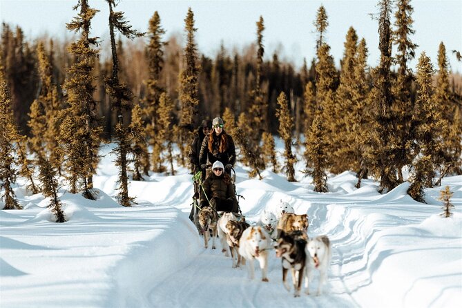 Winter Dog Sled Tour: Day or Night. - Scenic Views: Day vs. Night