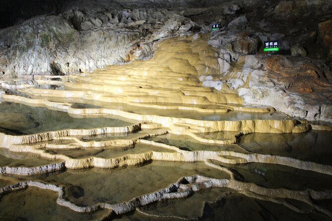 Yamaguchis 4spectacular&Karato Market of Day Tour From Fukuoka - Pickup and Transportation