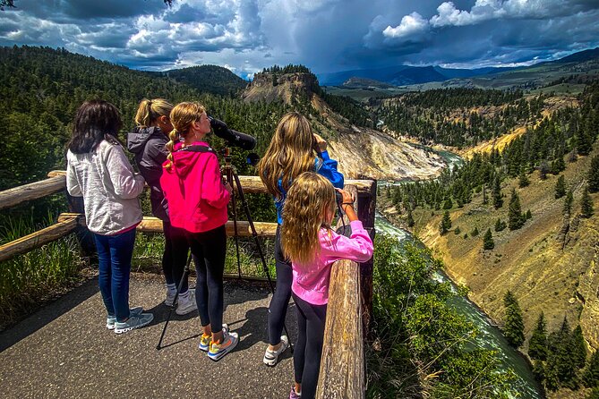 Yellowstone & Grand Teton Natl Parks Day Tour - Private Tour - Inclusions and Amenities