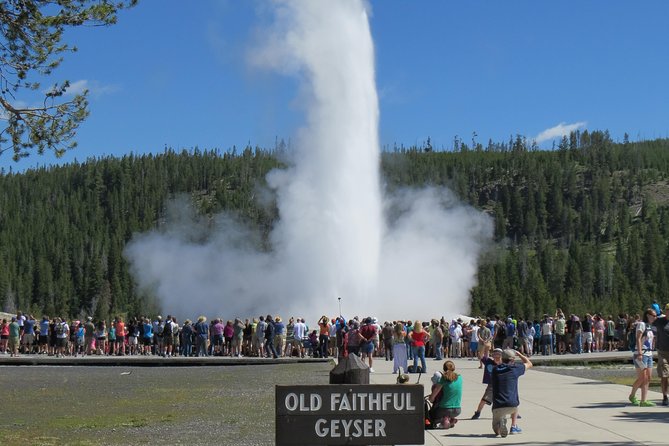 Yellowstone National Park - PRIVATE Full-Day Lower Loop Tour From Jackson Hole - Lunch Choices