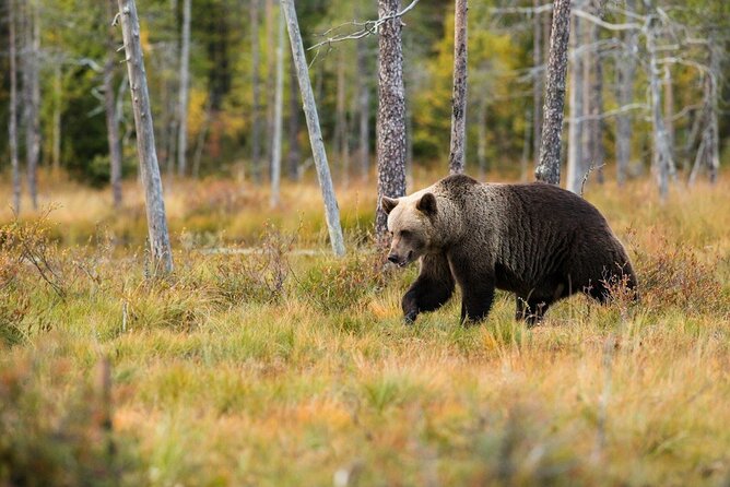 Yellowstone: Private Guided Tour - Pickup Information