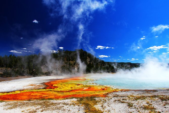 Yellowstone Private Lower Loop Adventure With Lunch - Key Highlights of the Tour