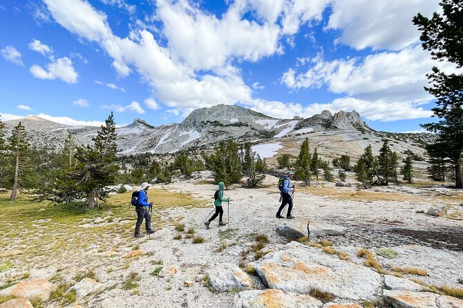 Yosemite: High Country Explorer - Private Hiking Tour - Meeting and Pickup Details