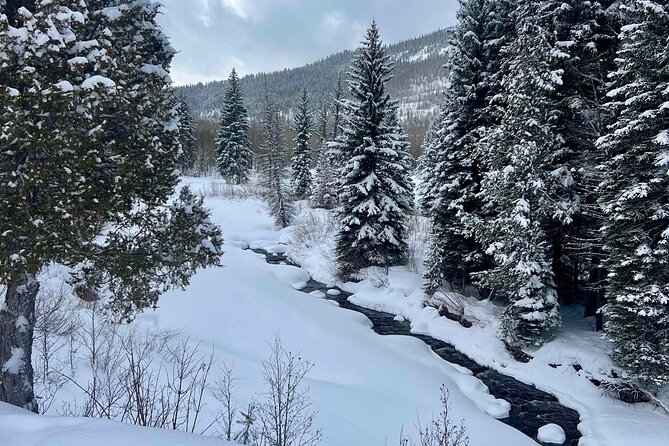 3 Hours Park City Snowmobile Adventure - Good To Know