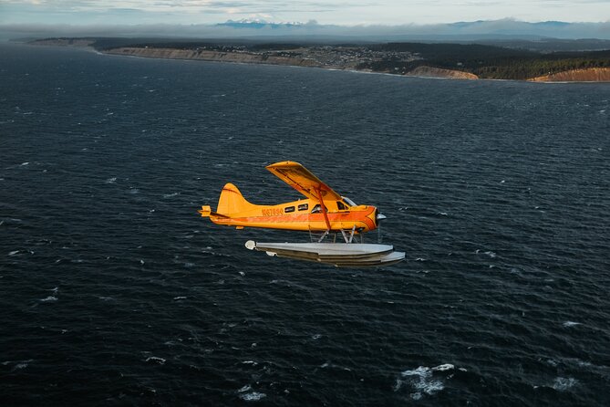 3 Hours San Juan Island Seaplane Tour From Seattle - Good To Know