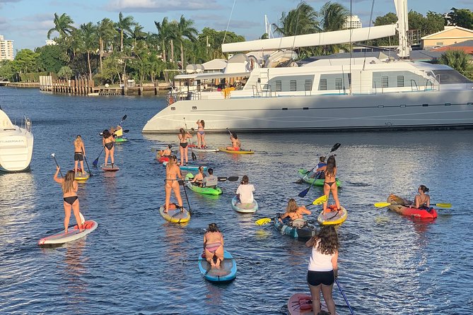 1.5 Hour Paddle Board Rental With Instruction - Discovering Local Wildlife