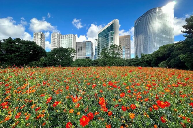 1 Day Tokyo Private Bus Tours + License Guide + Sweets Matcha Set - Included Amenities