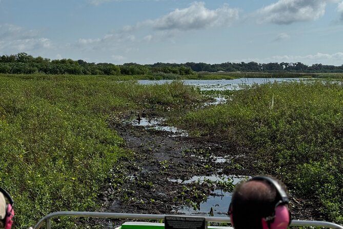 1 Hour Everglades Airboat Tour Central Florida - Observing Native Wildlife
