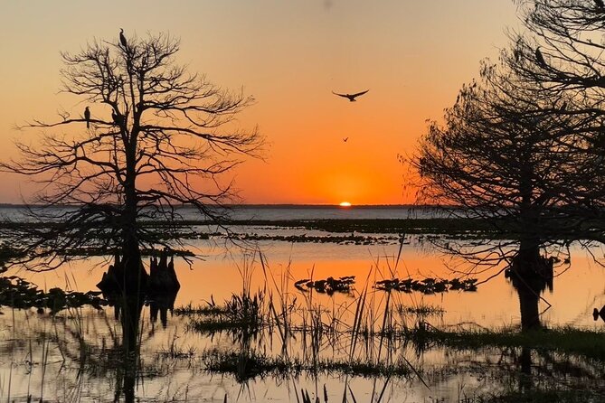1-Hour Sunset Airboat Ride Near Orlando - Tour Inclusions and Accessibility