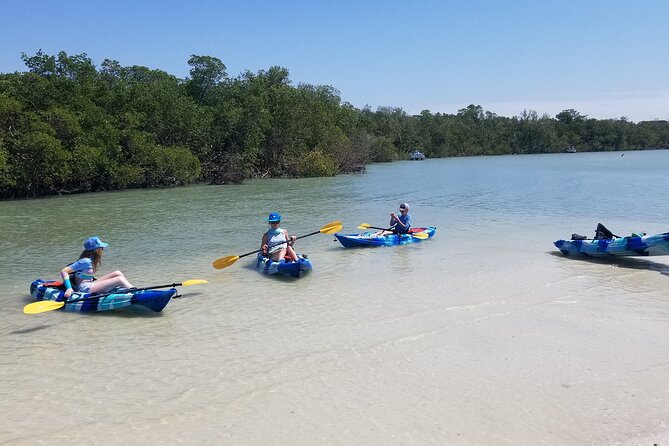 2.5-Hour Guided Group Kayak Tour on Big Hickory Pass - Wildlife and Ecosystem Exploration