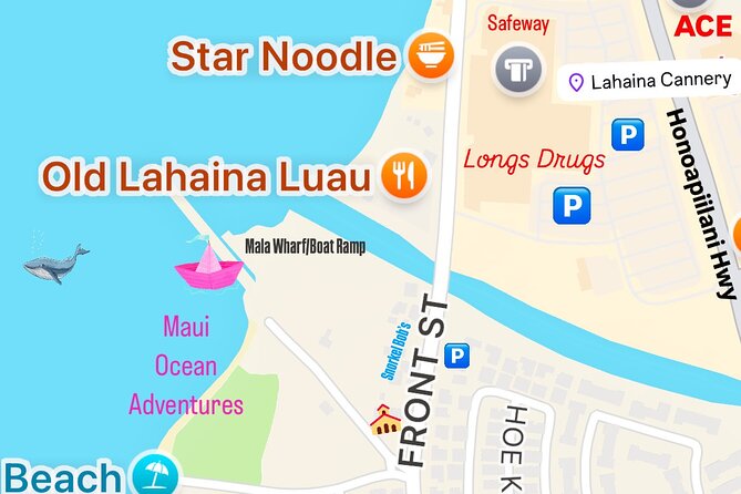 2 Hour Afternoon Lahaina Whale Watch - Whale Watching Experience