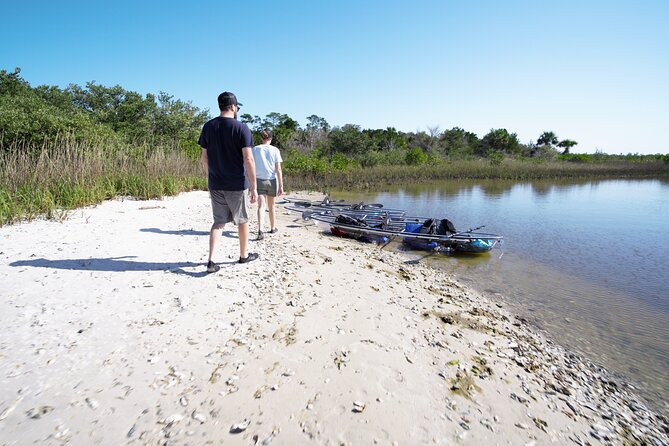 2-Hour Glass Bottom Guided Eco Tour in Flagler County-Small-group - Tips for a Successful Tour